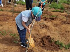 -武汉紫薇都市田园