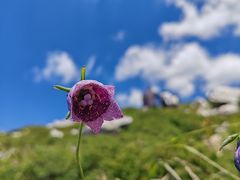 -秦岭风景区