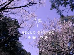 -香山公园