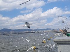 -海埂大坝