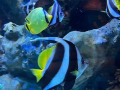 -海合安成都极地海洋公园