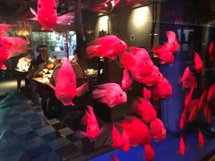 -胖哥俩肉蟹煲(海盐总店)