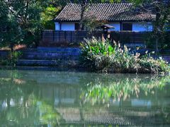 -西溪国家湿地公园