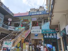 -猫咪博物馆(顶澳仔猫街店)
