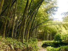 -东天目山风景区