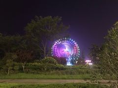 -琴岛之星摩天轮