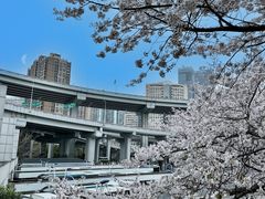 -南浦大桥长途旅游客运站