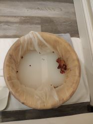 -奥斯芬欧系贵族SPA