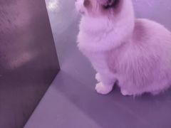 -极木²邸 人与宠物·互动社区