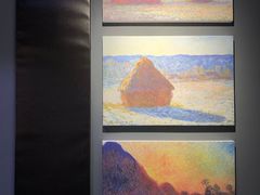 -印象莫奈时光映迹艺术展