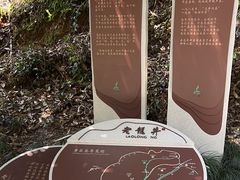 -十八棵（老龙井）御茶园(老龙井店)
