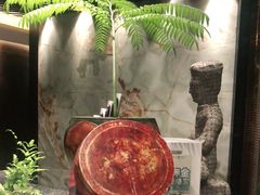 -南堂館川菜文化餐厅(天府店)
