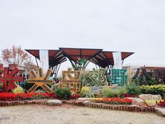 -上海长兴岛郊野公园