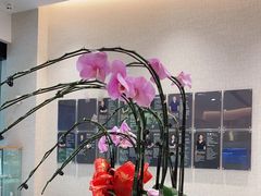 -TSK齿科德申会口腔门诊·联洋诊所