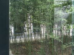 -楼观道温泉酒店