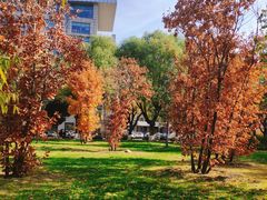 -吉林大学(南岭校区)