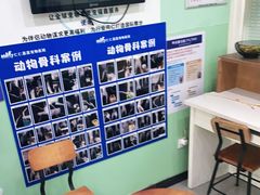 -仁仁嘉嘉宠物医院·骨外科中心·髋关节置换(北仑分院)