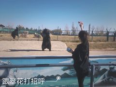 -鄂尔多斯野生动物园