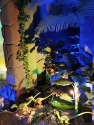 -恐龙探索乐园(磁器口店)