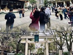 -难波八坂神社