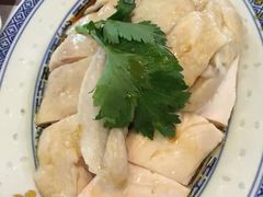 -文东记(马里士他路)