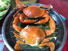 -胜海大排档·海鲜·黄鳝饭(十年老店)