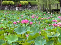 -沐仙湖湿地公园