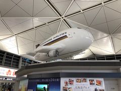 -中部国际机场