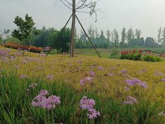 -桤木河湿地公园