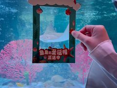 -沈阳海洋探索中心