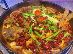 -老板恋上鱼(恒隆广场店)