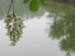 -顺鑫绿色度假村