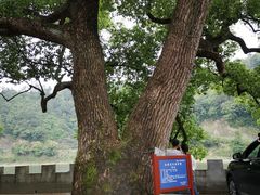-新安江山水画廊风景区