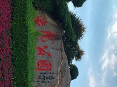 -洛龙公园