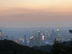 -大金鹰园