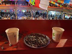 -摩梭传统篝火晚会