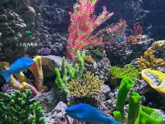 -海合安青岛极地海洋公园