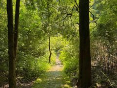 -山王坪喀斯特国家生态公园