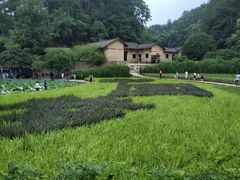 -韶山毛泽东同志故居