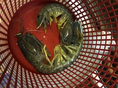 -ZF Seafood Restaurant 卓峰海鲜餐