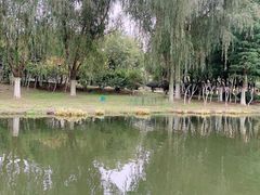 -滨湖塘西河公园
