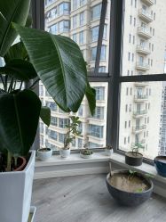 -一个差评成就的纹眉店