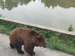 -上海野生动物园