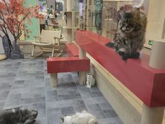 -INLANG饮浪室内冲浪(苏河湾万象天地店)