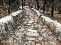 -阳台山自然风景区