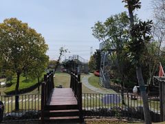 -菊园百果园