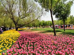 -长春公园(普阳街道)