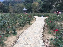 -广州市石门国家森林公园