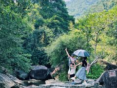 -广州白江湖森林公园