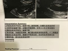 -美联众合动物医院·24h转诊中心